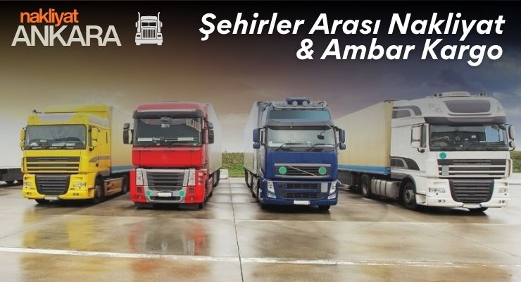 Ankara Şırnak Şehirlerarası Taşımacılık